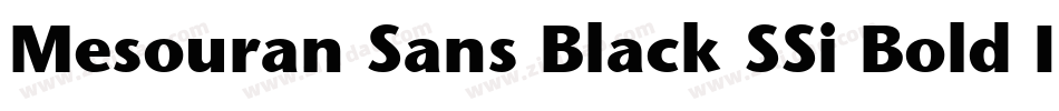 Mesouran Sans Black SSi Bold Italic字体转换